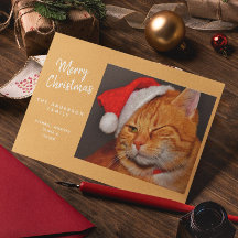 サンタの帽子をかぶったオレンジ色の猫の面白いクリスマス