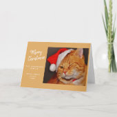 サンタの帽子をかぶったオレンジ色の猫の面白いクリスマス シーズンカード (正面)