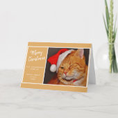 サンタの帽子をかぶったオレンジ色の猫の面白いクリスマス シーズンカード (正面)