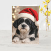 サンタの帽子をかぶったクリスマスの柴犬 カード (黄色い花)