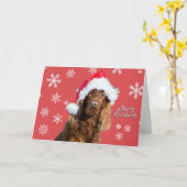 サンタの帽子をかぶったクリスマスの犬の面白いホリデー カード (黄色い花)