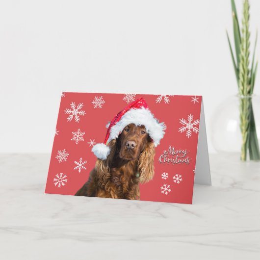 サンタの帽子をかぶったクリスマスの犬の面白いホリデー カード (正面)