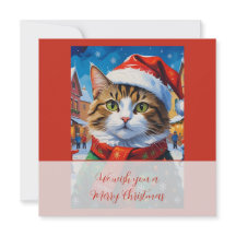 サンタの帽子をかぶったクリスマスの猫