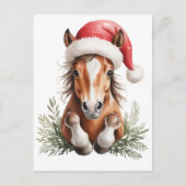 サンタの帽子をかぶったクリスマスの馬 シーズンポストカード (正面)
