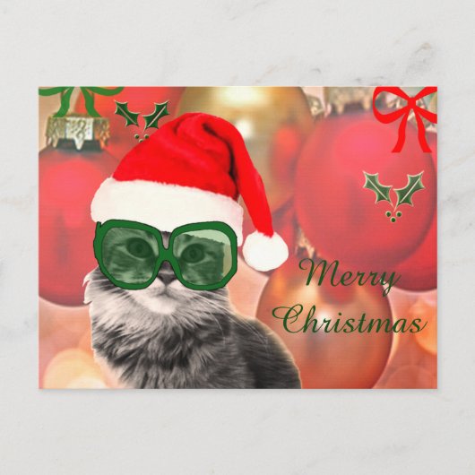 サンタの帽子をかぶったクリスマス猫 シーズンポストカード (正面)