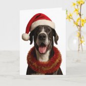 サンタの帽子をかぶったグレートデンのクリスマスカード カード (黄色い花)