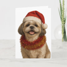 サンタの帽子をかぶったシーズー　クリスマスカード
