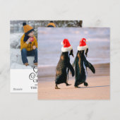 サンタの帽子をかぶったビーチのペンギンたち シーズンカード (正面/裏面)