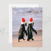 サンタの帽子をかぶったビーチのペンギン シーズンポストカード (正面/裏面)