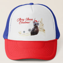 サンタの帽子をかぶった幸せなオーストラリアのクリスマスコアラ