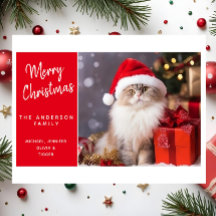 サンタの帽子をかぶった猫からのメリークリスマス