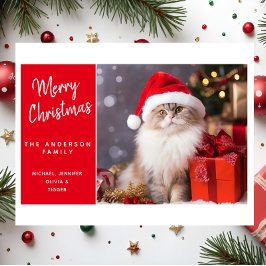 サンタの帽子をかぶった猫からのメリークリスマス シーズンカード