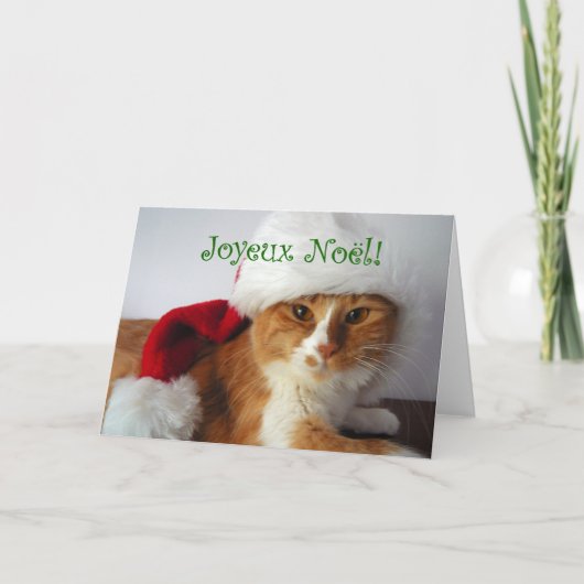 サンタの帽子をかぶった猫の「Joyeux Noël」 シーズンカード (正面)