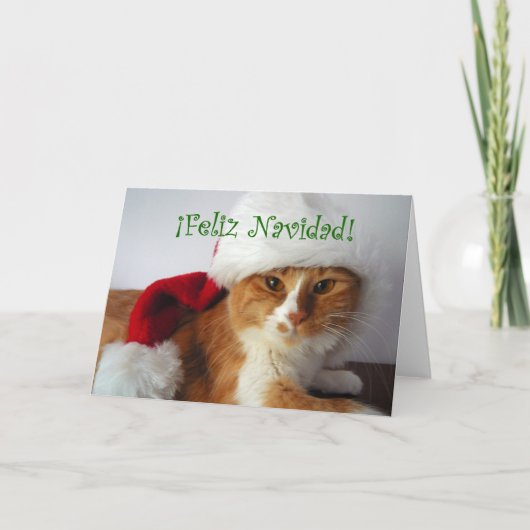 サンタの帽子をかぶった猫 Feliz Navidad シーズンカード (正面)