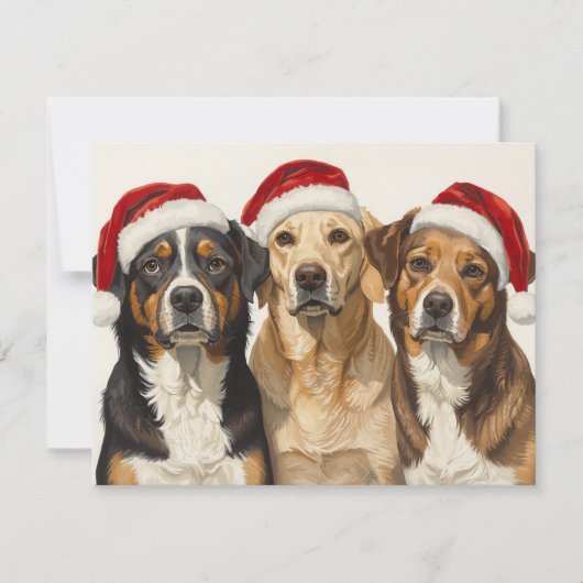 サンタの帽子をかぶった3匹の犬 メリークリスマス トリオ シーズンカード (正面)