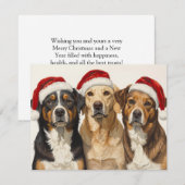 サンタの帽子をかぶった3匹の犬 メリークリスマス トリオ シーズンカード (正面/裏面)