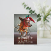 サンタの帽子を持つかわいいチワワ シーズンポストカード (スタンド正面)