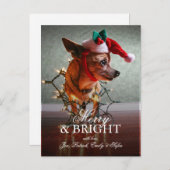 サンタの帽子を持つかわいいチワワ シーズンポストカード (正面/裏面)