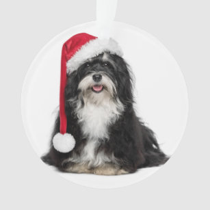 サンタの帽子を持つクリスマスのHavaneseおもしろいな犬 オーナメント