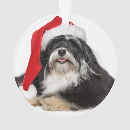 サンタの帽子を持つクリスマスのHavanese美しい犬 オーナメント (裏面)