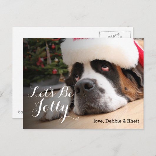 サンタの帽子を持つサンベルナール峠犬 シーズンポストカード (正面/裏面)