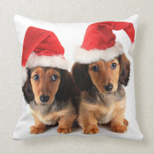 サンタの帽子を身に着けているクリスマスのダックスフントの子犬 クッション