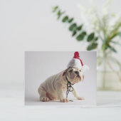 サンタの帽子を身に着けているブルドッグの子犬 シーズンポストカード (スタンド正面)