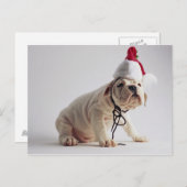 サンタの帽子を身に着けているブルドッグの子犬 シーズンポストカード (正面/裏面)