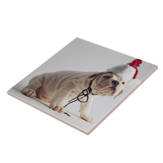 サンタの帽子を身に着けているブルドッグの子犬 タイル (側面)