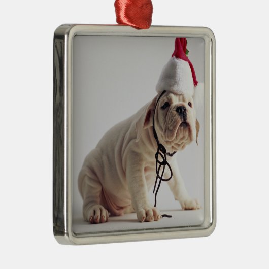サンタの帽子を身に着けているブルドッグの子犬 メタルオーナメント (右)