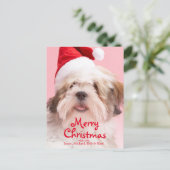 サンタの帽子を身に着けているラサApso犬 シーズンポストカード (スタンド正面)