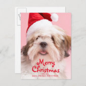 サンタの帽子を身に着けているラサApso犬 シーズンポストカード (正面/裏面)