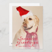 サンタの帽子を身に着けているラブラドル・レトリーバー犬のポートレート シーズンカード (正面/裏面)