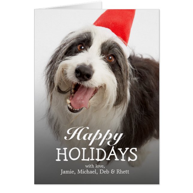 サンタの帽子を身に着けている犬 (正面)