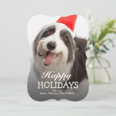 サンタの帽子を身に着けている犬 シーズンカード (スタンド正面)