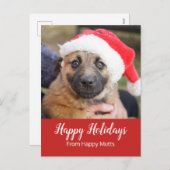 サンタの帽子犬の心配ビジネスの子犬 シーズンポストカード (正面/裏面)