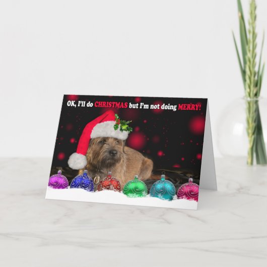 サンタの帽子、ウィットを身に着けている気難しいボーダーテリア犬 シーズンカード (正面)