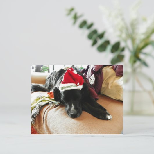 サンタの彼の帽子とのクリスマスの憂うつ シーズンポストカード (スタンド正面)