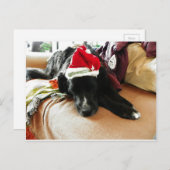 サンタの彼の帽子とのクリスマスの憂うつ シーズンポストカード (正面/裏面)