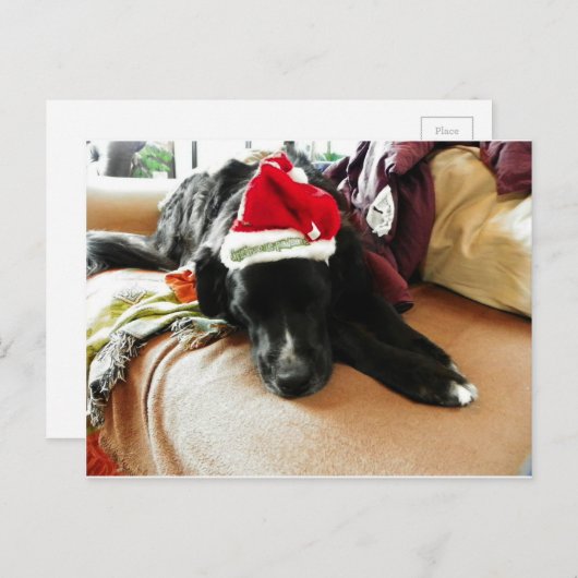サンタの彼の帽子とのクリスマスの憂うつ シーズンポストカード (正面/裏面)
