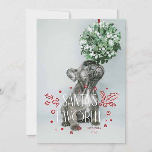 サンタの愛するペットのホリデーカード 招待状 (正面)