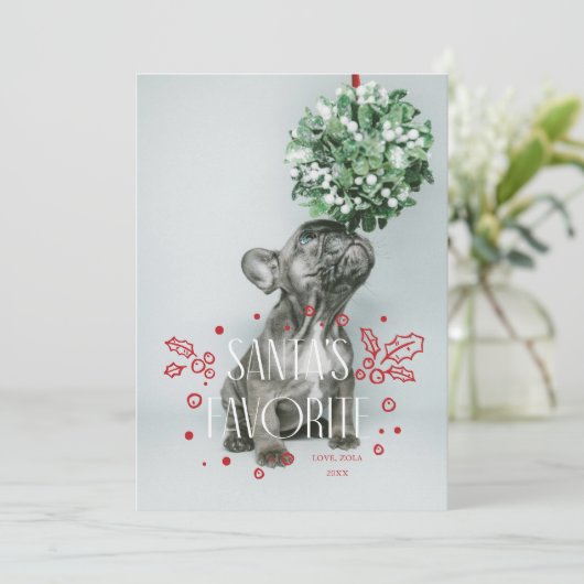 サンタの愛するペットのホリデーカード 招待状 (スタンド正面)