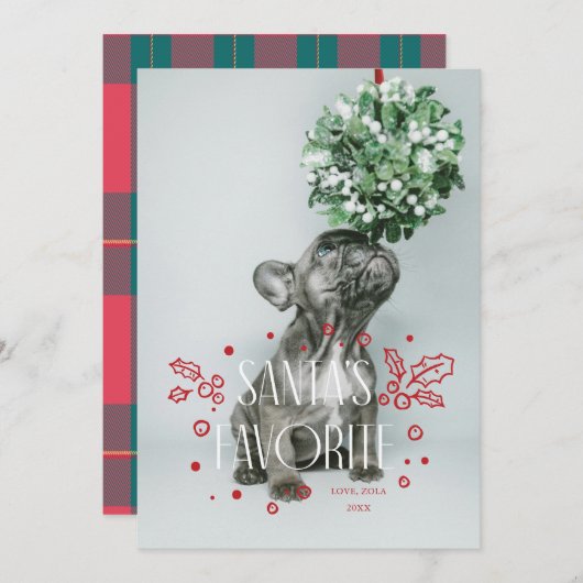 サンタの愛するペットのホリデーカード 招待状 (正面/裏面)