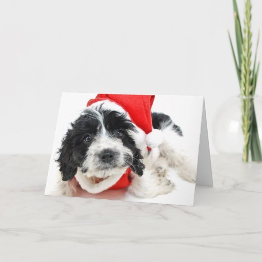 サンタの用品類を身に着けている白黒子犬 シーズンカード (正面)