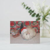 サンタの白いブタ シーズンポストカード (スタンド正面)