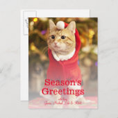 サンタの衣装を着たオスの赤猫 シーズンポストカード (正面/裏面)