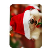サンタの衣装を着たビコンフリーズの子犬 マグネット (縦)