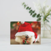 サンタの衣裳を身に着けているBichon Friseの子犬 シーズンポストカード (スタンド正面)