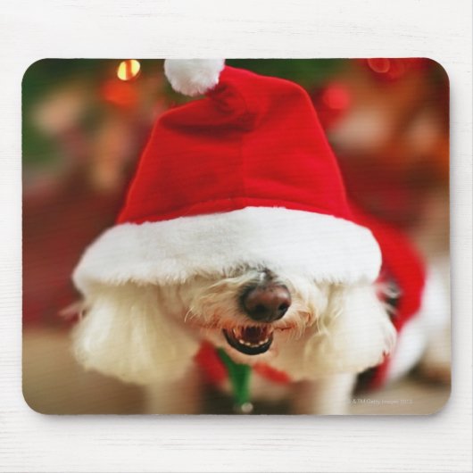 サンタの衣裳を身に着けているBichon Friseの子犬 マウスパッド (正面)