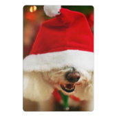 サンタの衣裳を身に着けているBichon Friseの子犬 ミニクリップボード (裏面)